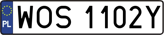 WOS1102Y