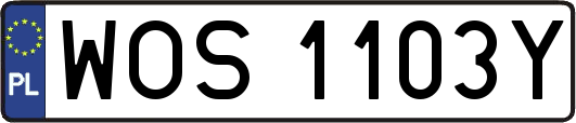 WOS1103Y