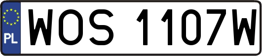 WOS1107W