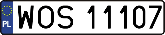 WOS11107