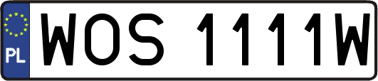 WOS1111W