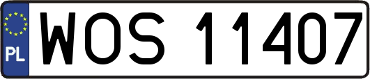 WOS11407
