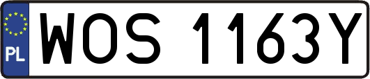 WOS1163Y