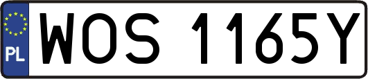 WOS1165Y
