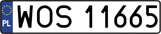 WOS11665