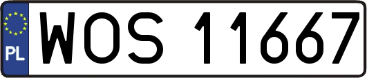 WOS11667