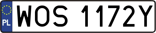 WOS1172Y