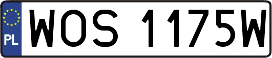 WOS1175W