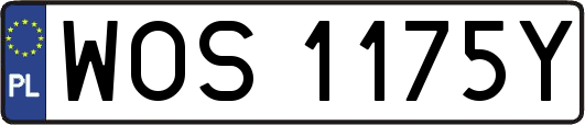 WOS1175Y