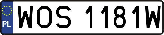 WOS1181W