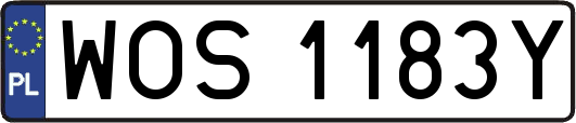WOS1183Y