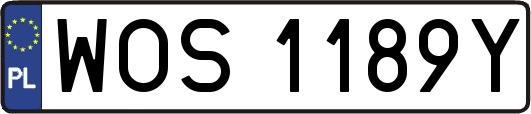 WOS1189Y