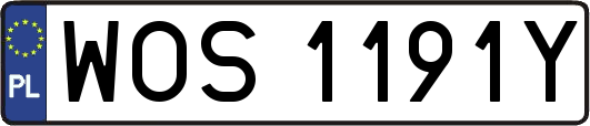 WOS1191Y