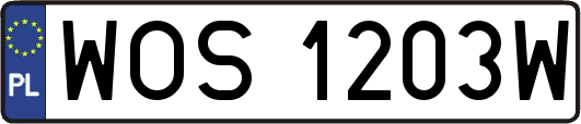 WOS1203W