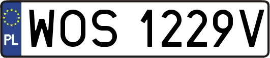 WOS1229V