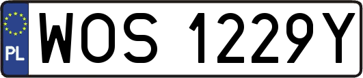 WOS1229Y