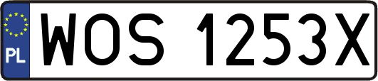 WOS1253X