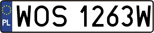 WOS1263W