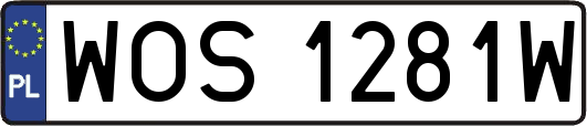 WOS1281W