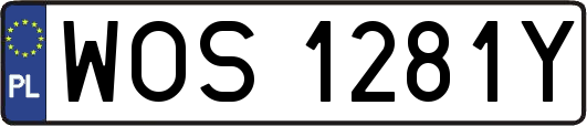 WOS1281Y