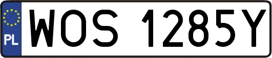 WOS1285Y