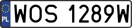 WOS1289W