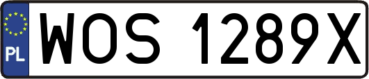 WOS1289X