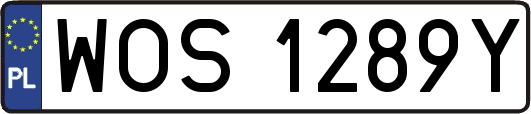 WOS1289Y