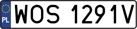 WOS1291V