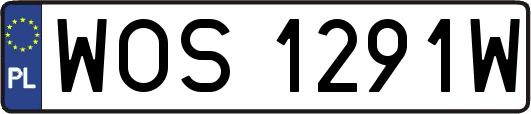 WOS1291W