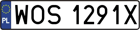 WOS1291X