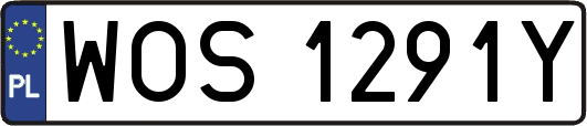 WOS1291Y