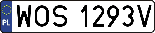 WOS1293V