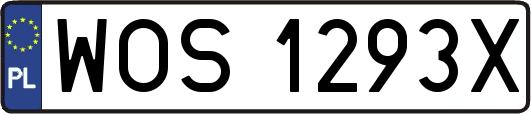WOS1293X
