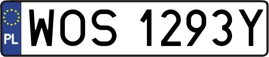 WOS1293Y