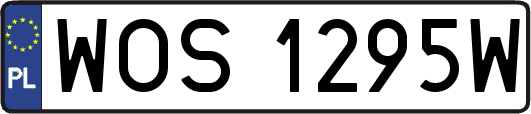 WOS1295W
