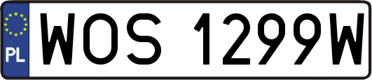 WOS1299W