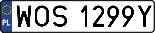 WOS1299Y