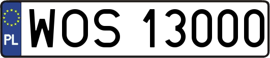 WOS13000