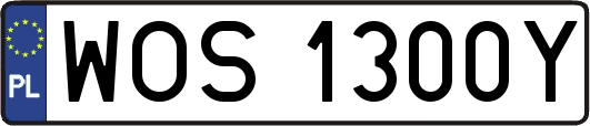 WOS1300Y