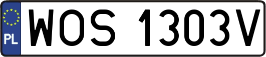 WOS1303V