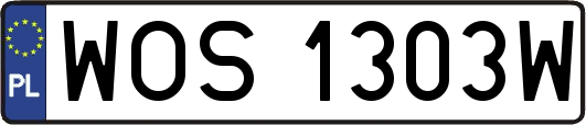 WOS1303W
