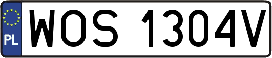 WOS1304V