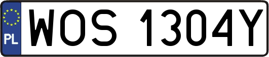 WOS1304Y