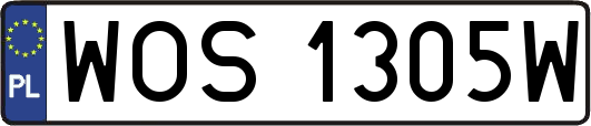 WOS1305W