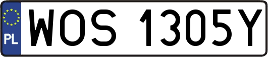 WOS1305Y