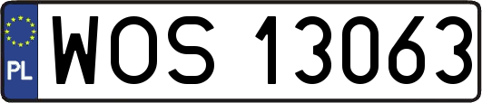 WOS13063