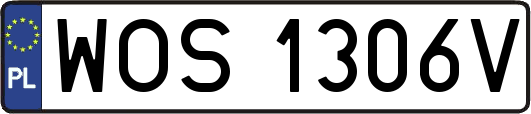 WOS1306V