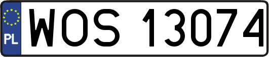 WOS13074