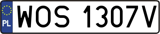 WOS1307V